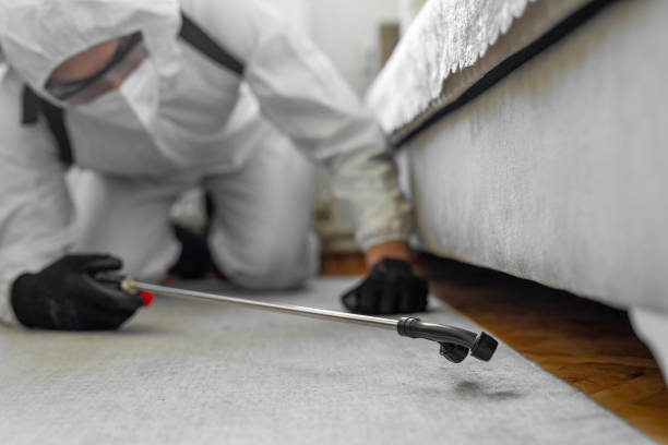 Professional Termite Control technician working in Greenup, IL