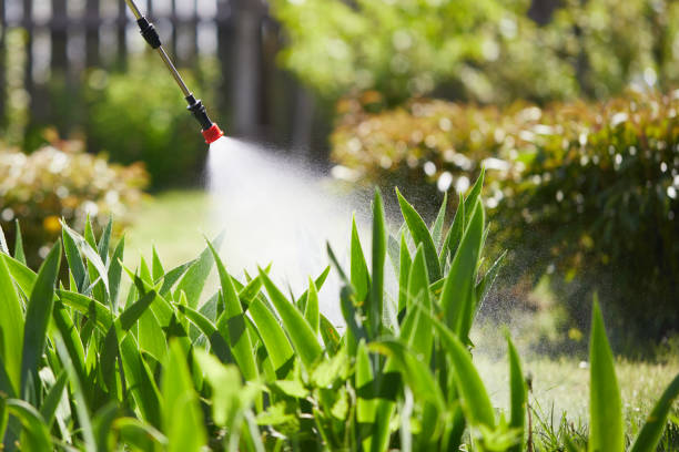 24/7 Emergency Termite Control experts in Greenup, IL