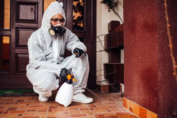 Reliable Termite Control contractor in Greenup, IL by Nex Pest Control
