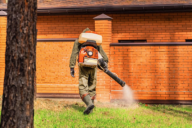 Top rated local Termite Control specialists in Greenup, IL